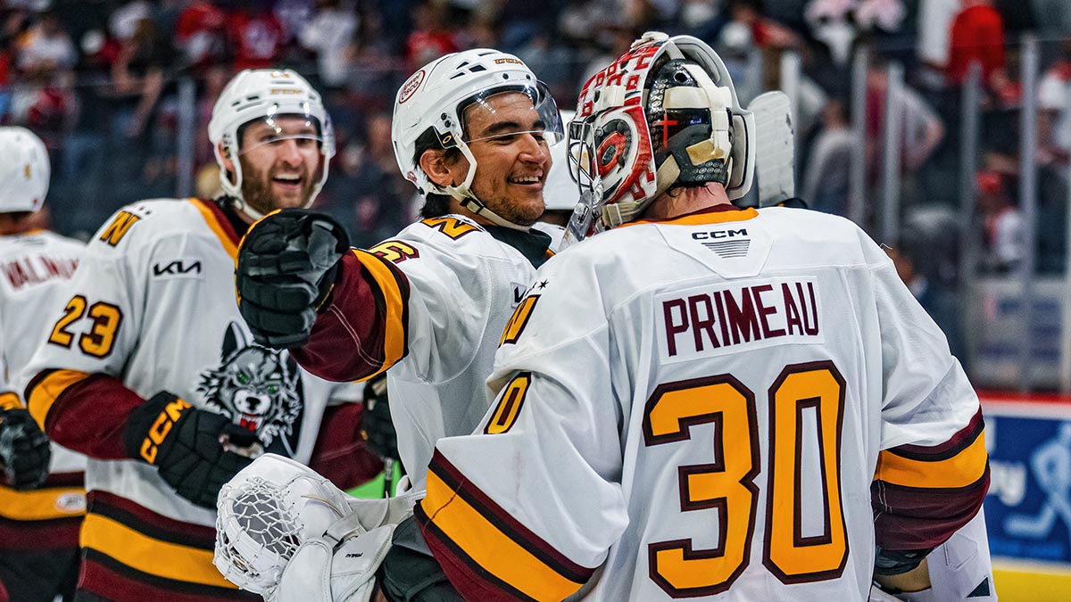 Thunderbirds' Overtime Surge Keeps Series Alive in Thrilling Game 2
